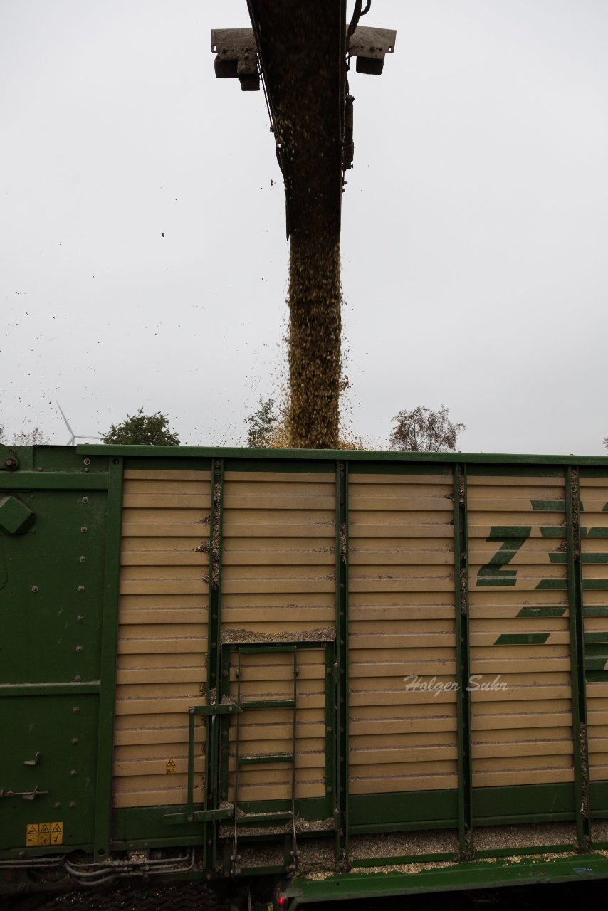 Bild 55 - Maisernte am 22.10.12